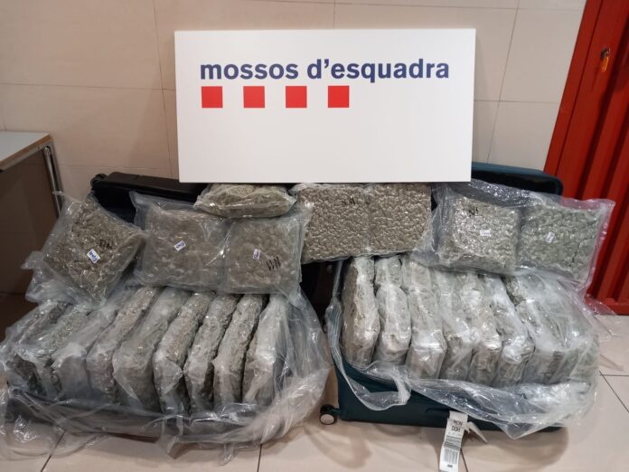 La droga incautada (Foto: Mossos)