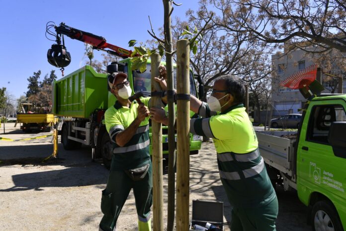 Dos operarios de Jarfels plantan un árbol (Foto: Ayuntamiento de Castelldefels)